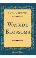 Wayside Blossoms (Classic Reprint)