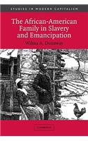 African-American Family in Slavery and Emancipation