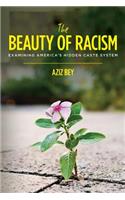 Beauty of Racism