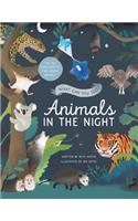 What Can You See? Animals in the Night