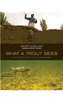 What a Trout Sees