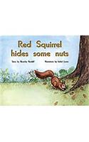 Red Squirrel Hides Some Nuts: Individual Student Edition Yellow (Levels 6-8)(Rigby PM Plus)