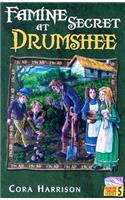 Famine Secret at Drumshee
