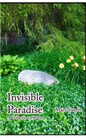 Invisible Paradise