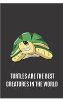 Turtles Are The Best Creatures In The World
