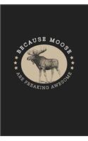Moose Are Freaking Awesome