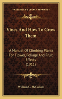 Vines And How To Grow Them
