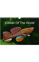 Killifish of the World 2017