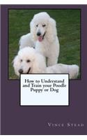 How to Understand and Train your Poodle Puppy or Dog