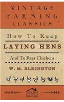 How to Keep Laying Hens and to Rear Chickens
