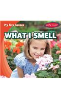 What I Smell