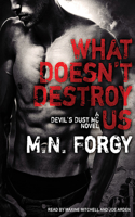 What Doesn't Destroy Us: (1 Devil's Dust)