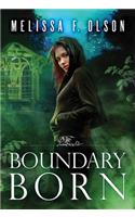 Boundary Born