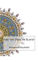 Are you Free or Slave?