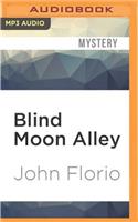 Blind Moon Alley