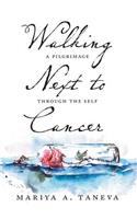 Walking Next To Cancer: A Pilgrimage Through the Self