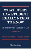 What Every Law Student Really Needs to Know