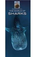 World of Sharks