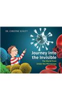 Journey Into the Invisible: The World from Under the Microscope