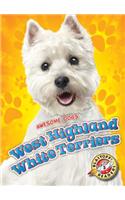 West Highland White Terriers
