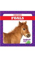 Foals