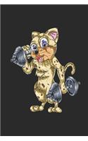 Funny Animal Fitness - Cat Curls