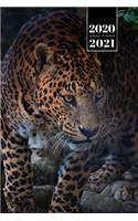 Panther Leopard Cheetah Cougar Week Planner Weekly Organizer Calendar 2020 / 2021 - Evil Eyes