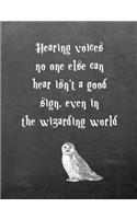 Hearing Voices No One Else Can