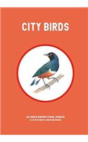 City Birds