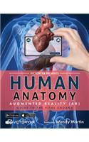 Human Anatomy in Augmented Reality AR