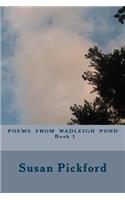 Poems From Wadleigh Pond Book One