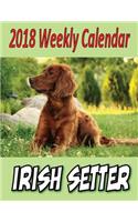 2018 Weekly Calendar Irish Setter