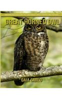 Great Horned Owl