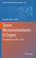 Tumor Microenvironments in Organs