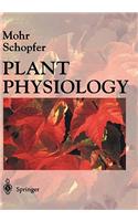 Plant Physiology