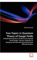 Two Topics in Quantum Theory of Gauge Fields