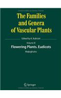 Flowering Plants. Eudicots