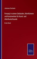 Pompeji in seinen Gebäuden, Alterthümern und Kunstwerken für Kunst- und Alterthumsfreunde