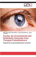 Factor de Crecimiento del Endotelio Vascular tras Terapia Fotodinámica