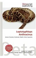 Leptotyphlops Anthracinus: (English)