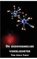 De guddommelige virkeligheter