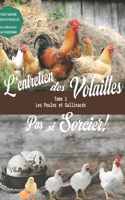 Entretien des volailles - pas si sorcier