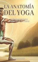 anatomía del yoga