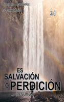 Salvación o Perdición - Resumen