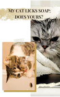 My Cat Licks Soap Does Yours?: th&#1077;ORIES WHY & PREVENTING SOAP INGESTION