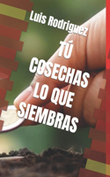 Tú Cosechas Lo Que Siembbras