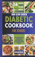 Mini Slow Cooker Diabetic Cookbook For Seniors