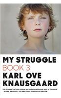 My Struggle, Book 3