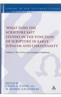 What Does the Scripture Say?' Studies in the Function of Scripture in Early Judaism and Christianity