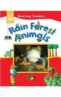 Rain Forest Animals